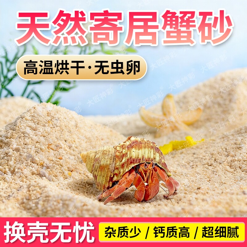 天然海沙寄居蟹沙子专用养相守蟹螃蟹乌龟沙颗粒底砂细沙水洗免洗