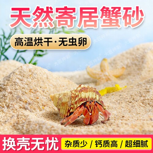 天然海沙寄居蟹沙子专用养蟹螃蟹乌龟沙颗粒底砂细沙免洗平台石子