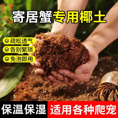 寄居蟹专用椰土免泡发