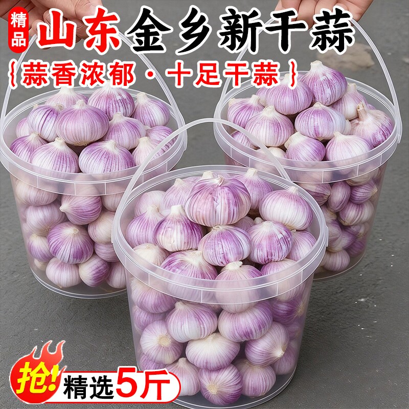 山东金乡大蒜干蒜大蒜头5斤新干蒜精选特大果紫白皮批发新鲜