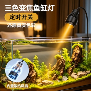 鱼缸灯南美缸射灯调焦小型水草造景专用雷龙缸定时溪流防水变焦