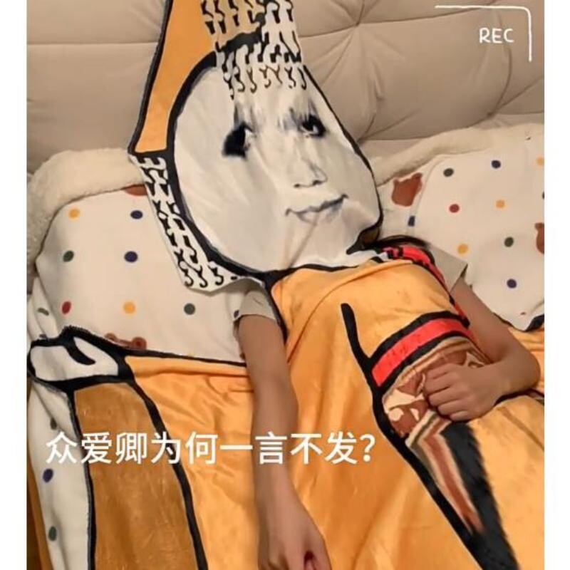 创意龙图毯子午睡办公室披肩空调毯夏季沙发盖毯毛绒异形搞怪毛毯