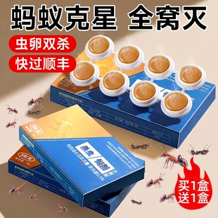 蚂蚁药家用全窝端强效红白黄蚁室内室外多场景杀蚁饵剂黄蚂蚁虫卵