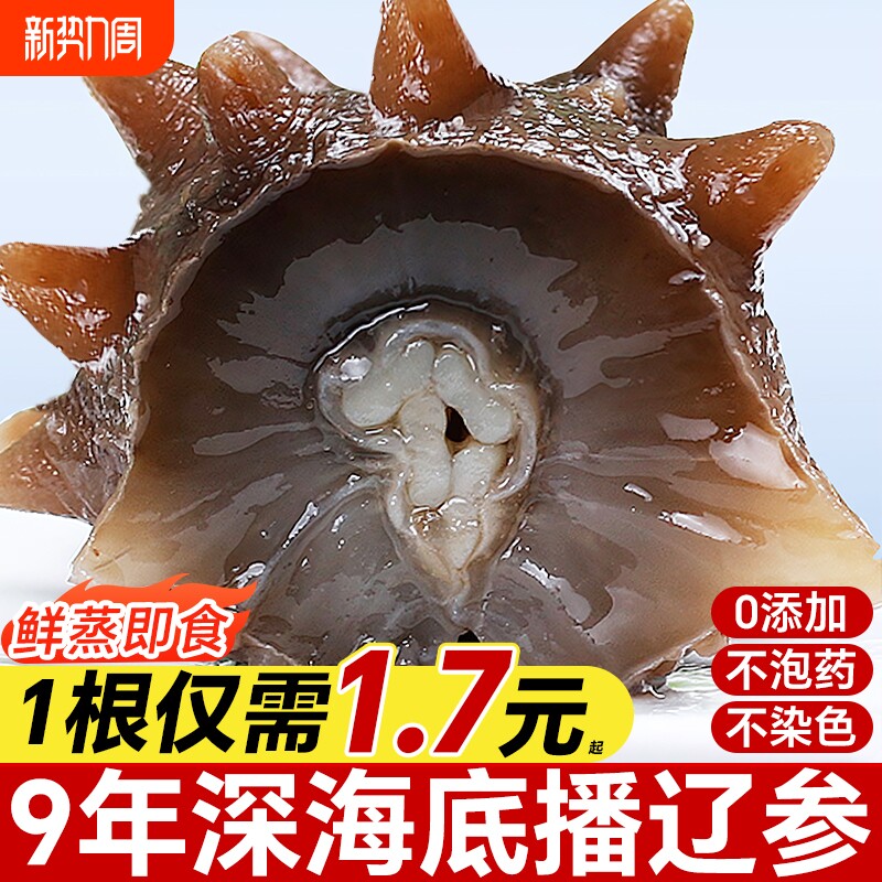 大连海参即食刺参鲜活淡干辽参新鲜海参干独立包装官方旗舰店礼盒