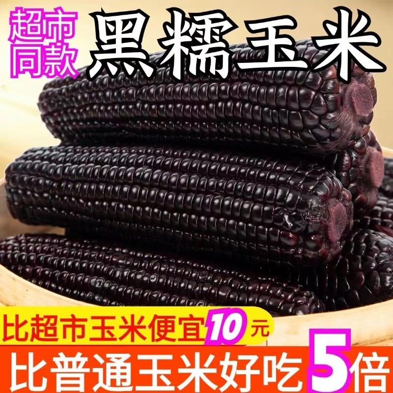 煜松黑糯玉米真空甜糯玉米