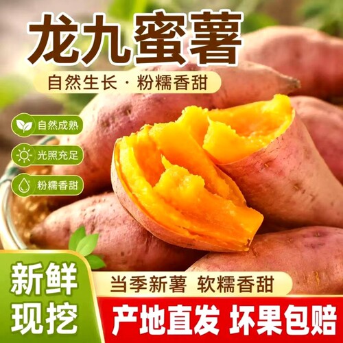 新鲜龙九蜜薯9斤沙地糖心地瓜