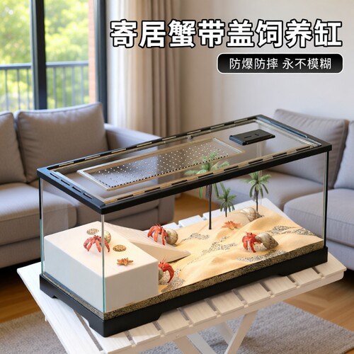 小型相守蟹专用饲养箱套装