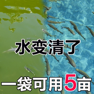 鱼塘鱼池浊水净池塘水质净化浑浊污水产养殖变清净水剂S净水王