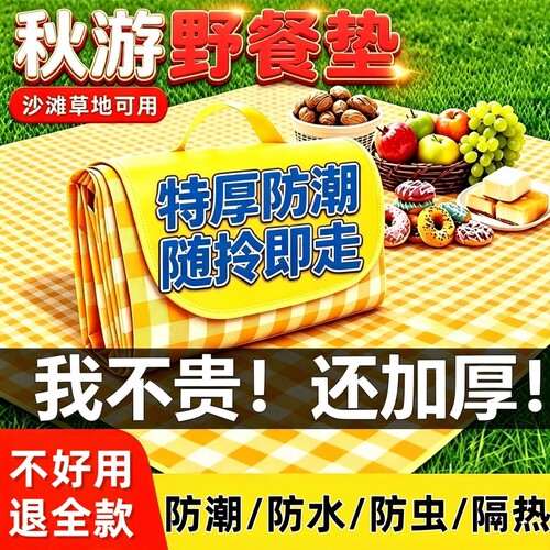 野餐垫户外徒步坐垫加厚便携带野外野炊垫露营帐篷防潮垫防水铝膜
