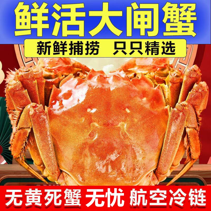 [活蟹]特大10只大闸蟹鲜活现货全母螃蟹官方旗舰阳澄礼盒湖鲜河蟹图片