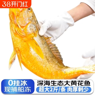 黄花鱼新鲜冷冻大黄鱼鲜活深海小黄鱼半野生年货海鲜礼盒2斤一条