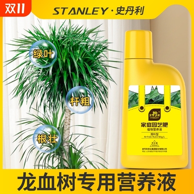 龙血树专用肥料治疗黄叶