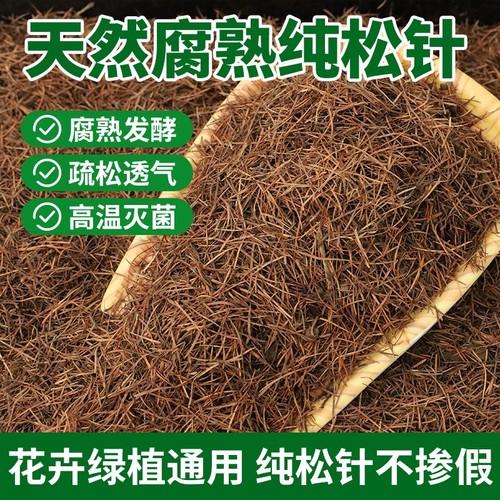 腐熟纯松针君子兰专用土松针