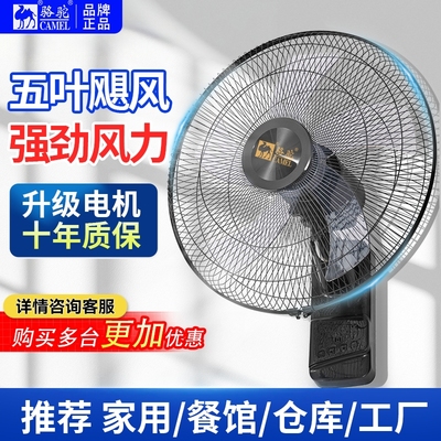 骆驼品牌壁扇强劲大风