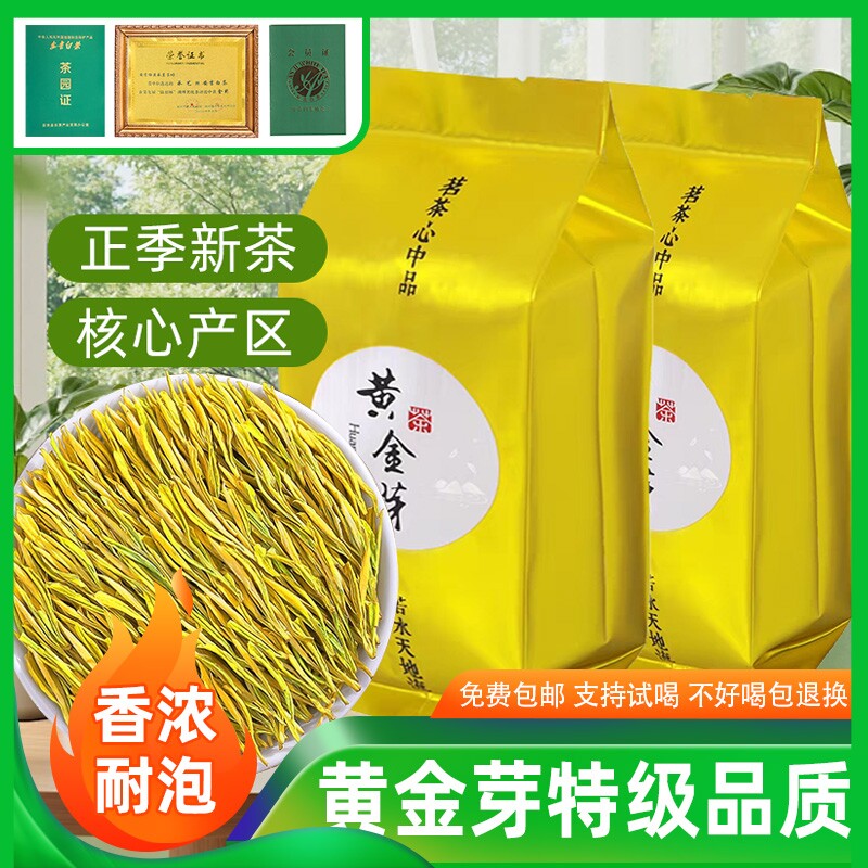 承艺特级安吉2026头采嫩芽型绿茶黄金芽黄金叶白茶明前一斤茶叶