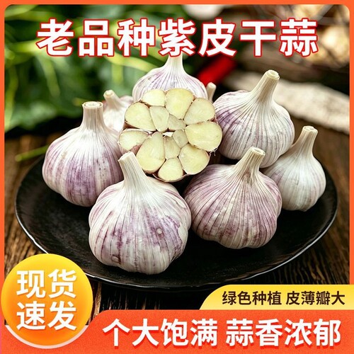 山东金乡大蒜头产地直发优质干蒜装紫皮新鲜多瓣农家自种现发优选