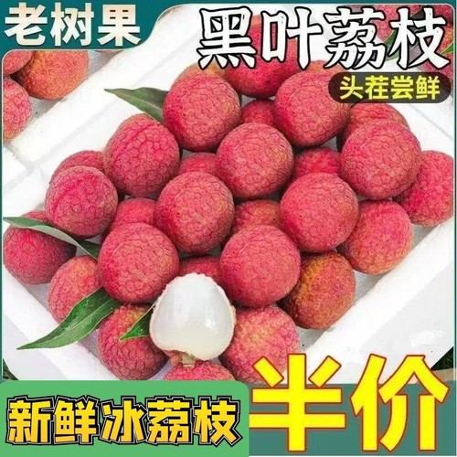 正宗冷冻荔枝新鲜冰冻现摘水果整箱奶茶店乌石多汁包邮桂味