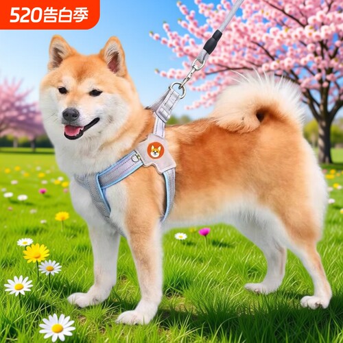 狗狗牵引绳中小型犬比熊胸背带宠物马鞍式狗链子遛狗绳背心不勒脖
