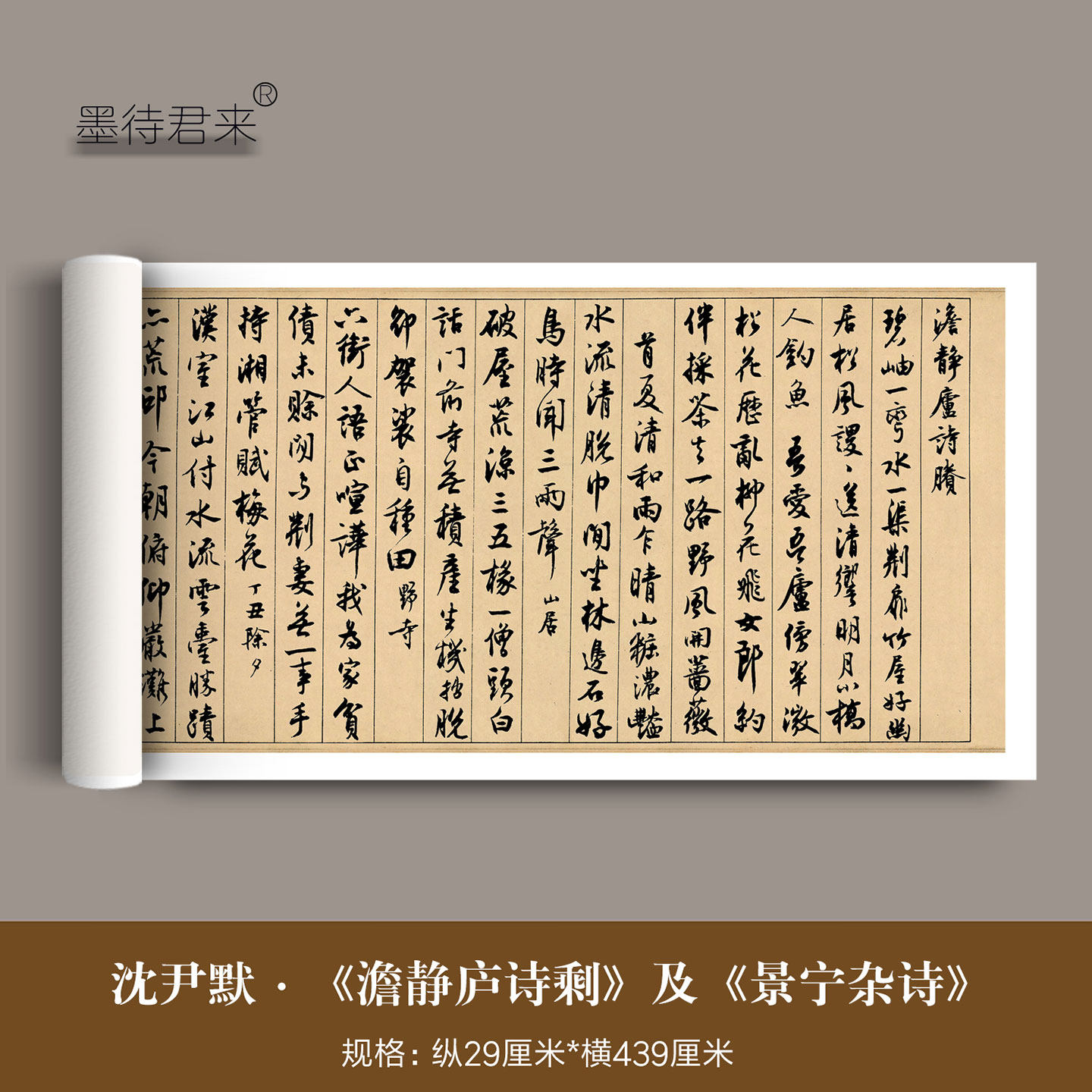 沈尹默行书《澹静庐诗剩》及《景宁杂诗》毛笔字帖书法临摹练字帖 - 实物图