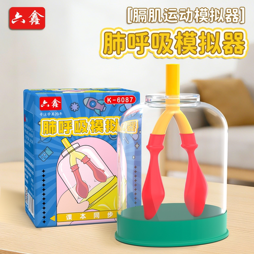 膈肌运动模拟器肺呼吸模型制作人体肺气体交换初中生物实验器材教学仪器教具学具有机玻璃生物肺腹式呼吸通气