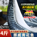 挪威进口青花鱼片新鲜大鲐鱼冷冻鲭鱼烤青占鱼烧烤食材商用冷冻