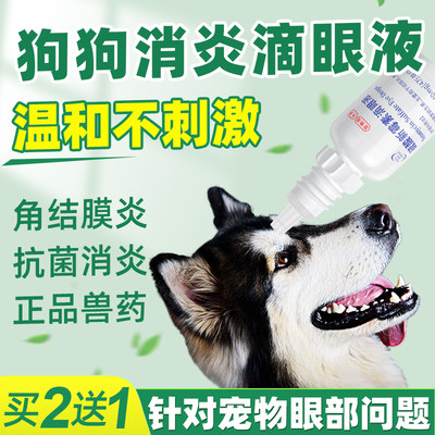 狗狗抗菌消炎眼药水专治角膜炎