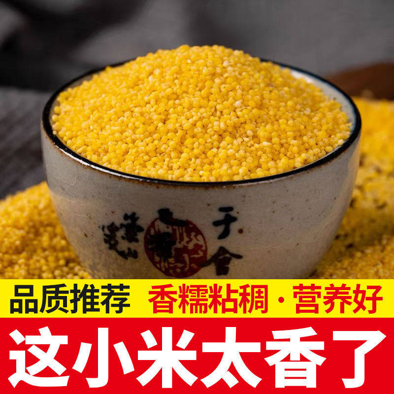 山西吕梁汾阳黄小米新米月子米新货新米熬粥五谷杂粮新米小米