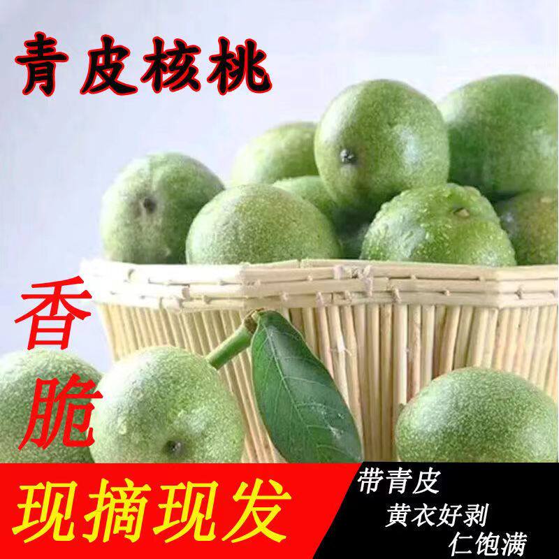 2026新鲜青皮核桃湿核桃嫩核新鲜核桃