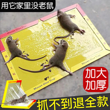 老鼠贴粘鼠板超强力粘大老鼠家用捕鼠抓鼠神器老鼠板沾胶贴纸