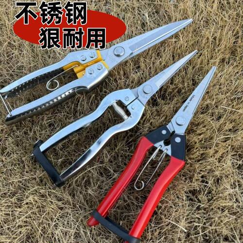 新款不锈钢省力修枝剪稀果剪 葡萄剪摘花椒摘火龙果蔬菜农用工具