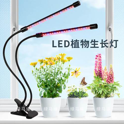 USB接口LED植物生长灯多肉植物补光灯红光上色蓝光防徒长插移动充