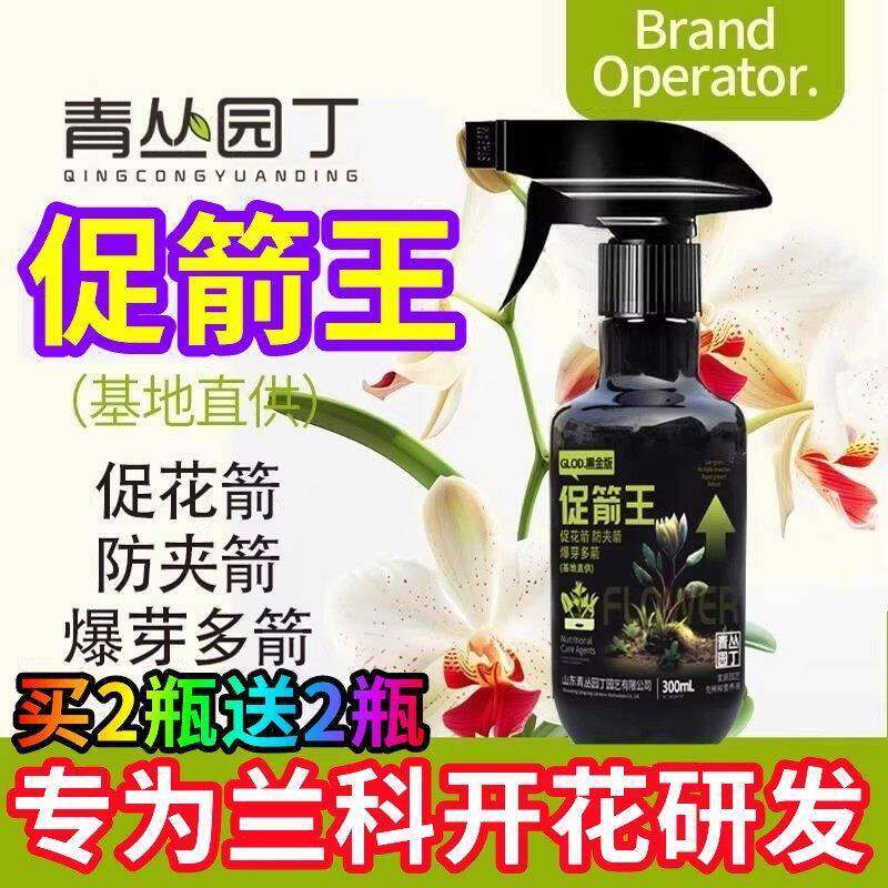 青丛园丁促箭王基地兰花开花专用蝴蝶兰促花箭防夹箭爆芽多箭图片