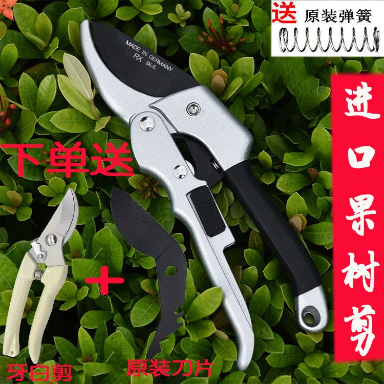 【正品保障】果树修剪刀树枝修剪家用剪子多功能修枝剪园艺粗枝剪