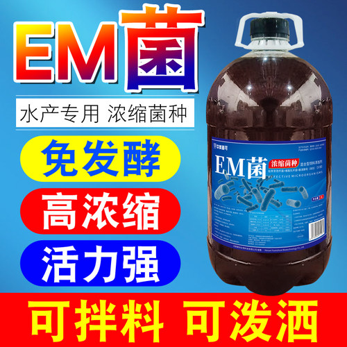 中美普可em菌液水产养殖肥水培藻