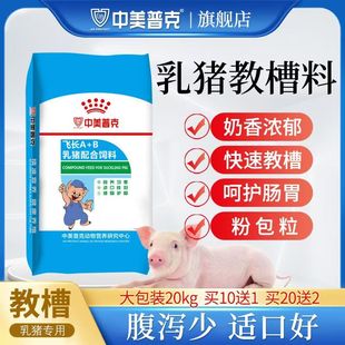 教槽料乳小仔猪教槽料盆仔小猪开口饲料小乳仔猪断奶颗粒饲料猪仔
