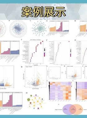 非靶向代谢组学LCMS数据差异分析通路富集服务