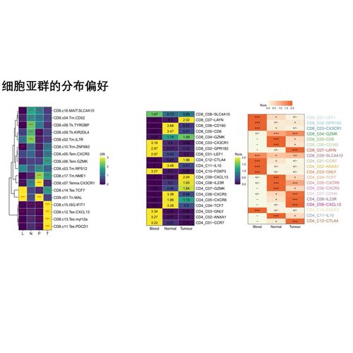 01-16代码，单细胞高级绘图 所有图片来自公众号【TOP生物信息】