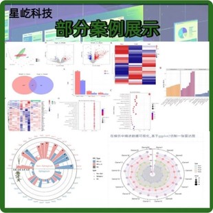 生信分析TCGA GEO数据库挖掘单细胞测序转录组学分析