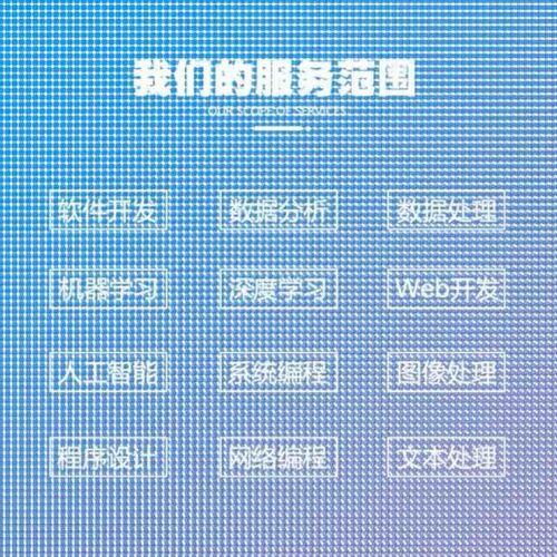 python代编程深度学习算法神经网络代做自然语言处理机器视觉接单