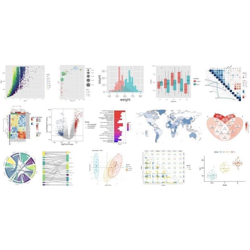 基因家族全套系统进化树绘制Circos设计图绘图生物信息数据分析