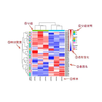 生信分析教学 单细胞空转 蛋白组 代谢组数据分析教学指导