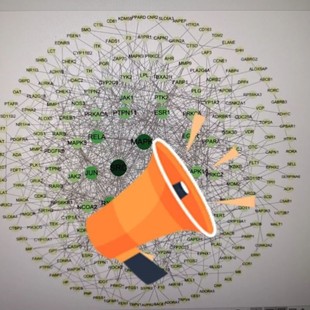 基因家族分析代做服务基因家族成员鉴定染色体定位进化树共线性分