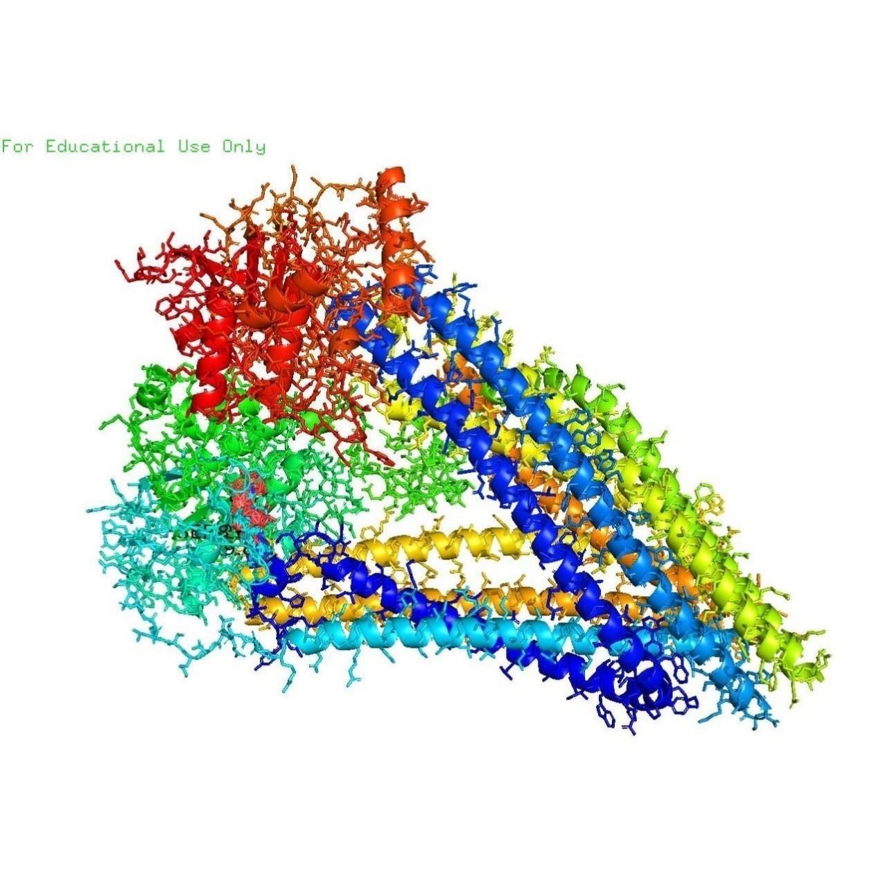 蛋白分子对接Discovery Studio分析3D结构2D结构图PyMOL图片