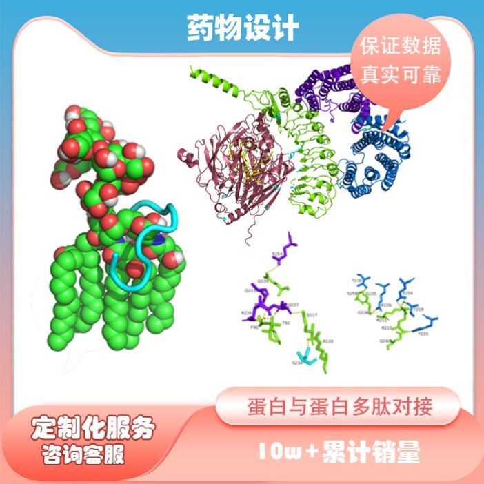 分子对接服务/金属对接网络药理学/多肽对接虚拟筛选/辅酶对接