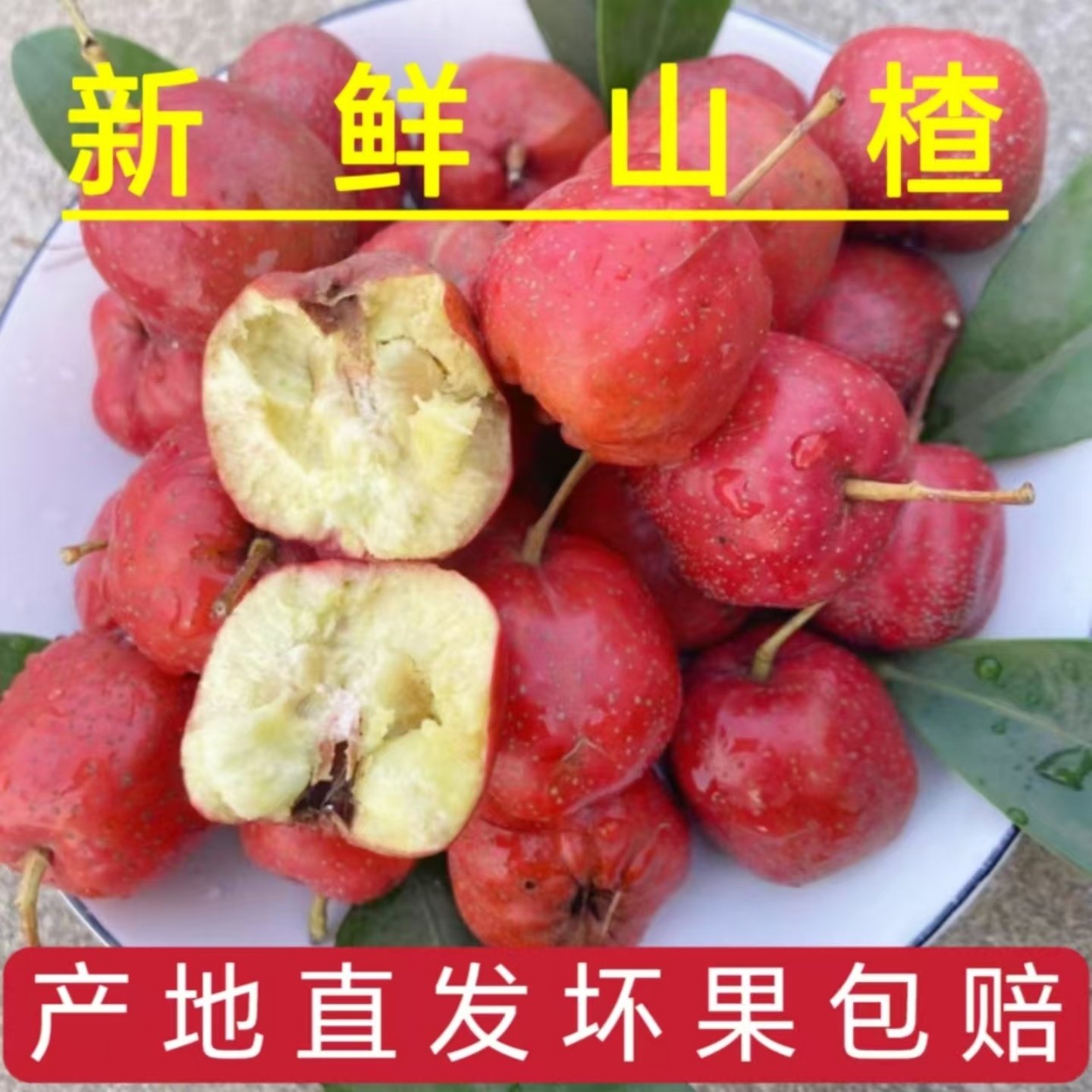 山楂鲜果25年五棱山楂冰糖葫芦商用新鲜水果红果山东五棱山楂,水产肉类/新鲜蔬果/熟食,山楂/红果,淘宝优惠券,粉丝福利购,淘宝优惠卷