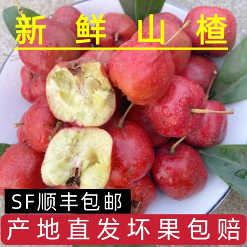 顺丰包邮山楂鲜果大五棱山楂红果