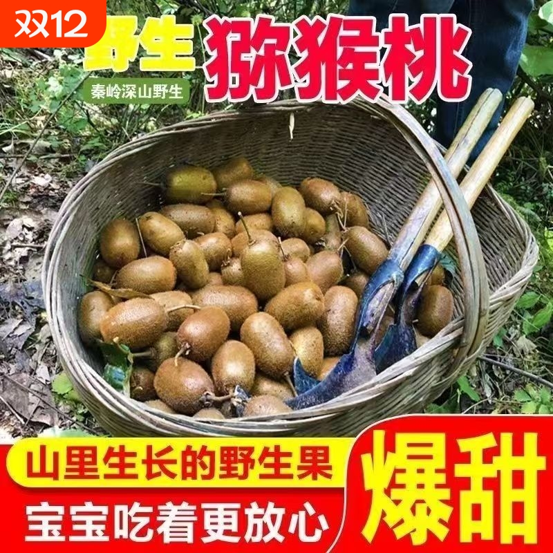 秦岭山区纯野生猕猴桃新鲜现摘孕妇水果奇异果绿心猕猴桃超甜