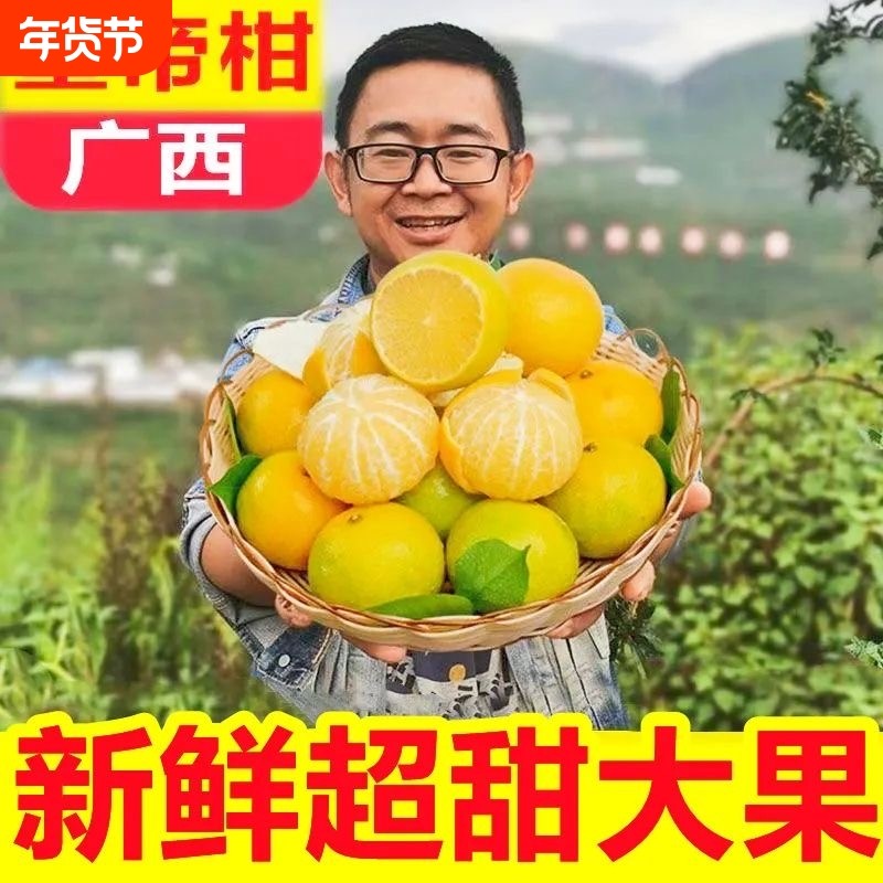 广西皇帝柑新鲜桔子9斤武鸣当季甜橘子孕妇水果正宗包邮5清香现摘,水产肉类/新鲜蔬果/熟食,桔子,淘宝优惠券,粉丝福利购,淘宝优惠卷