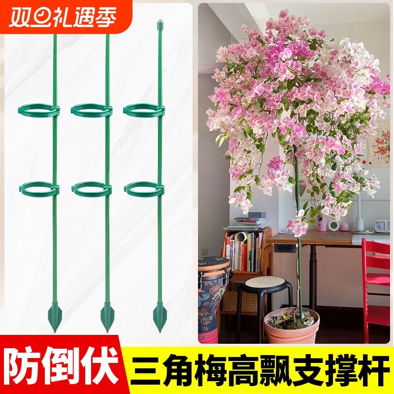 三角梅高飘支撑杆爬藤架花架固定器龟背竹绿植物防倒伏花卉支撑架