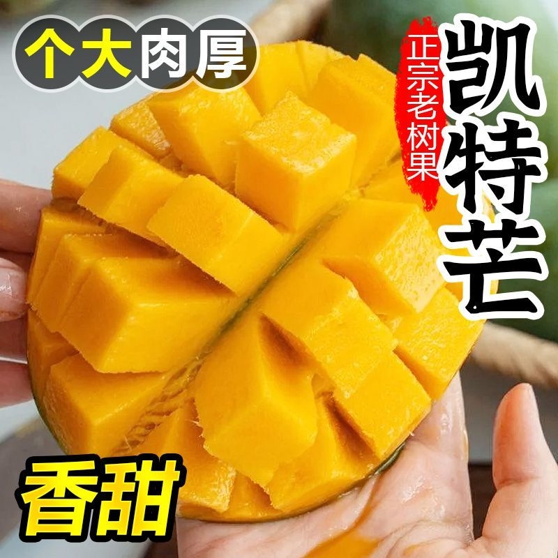 正宗攀枝花凯特芒果新鲜水果批发价一整箱应季当季大芒果核薄肉厚